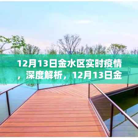 12月13日金水区实时疫情深度解析与报告