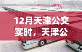 天津公交实时系统评测报告,以12月运营为例的深入剖析