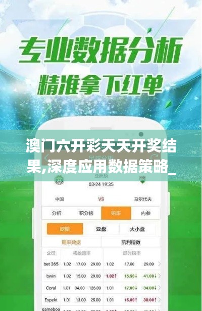 澳门六开彩天天开奖结果,深度应用数据策略_XR7.685