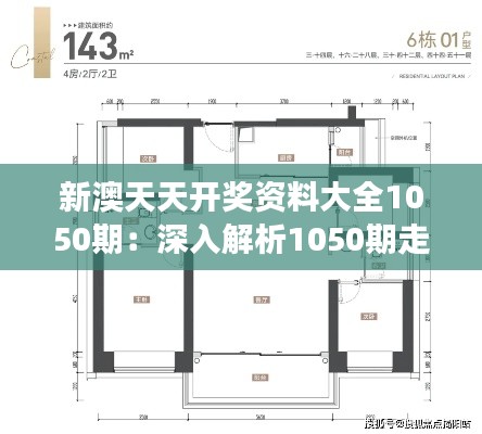 新澳天天开奖资料大全1050期:深入解析1050期走势的洞察力