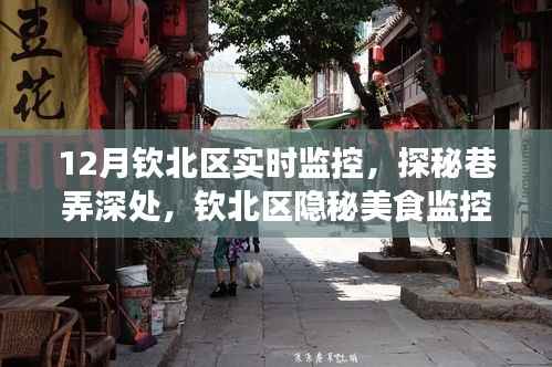 钦北区隐秘美食之旅,巷弄深处的实时监控探秘小吃店之旅
