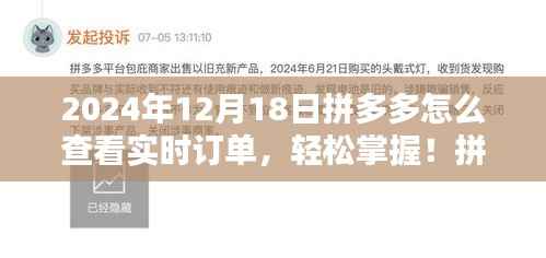 拼多多实时订单查看指南,轻松掌握订单动态(最新指南,适用于2024年12月)