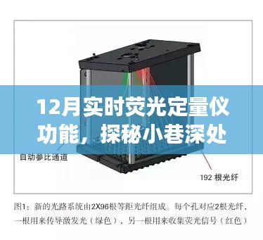 探秘小巷深处的宝藏,揭秘12月实时荧光定量仪的神奇功能之旅