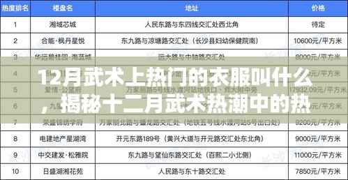 揭秘十二月武术热潮中的热门服饰名称,武术服装流行趋势解析