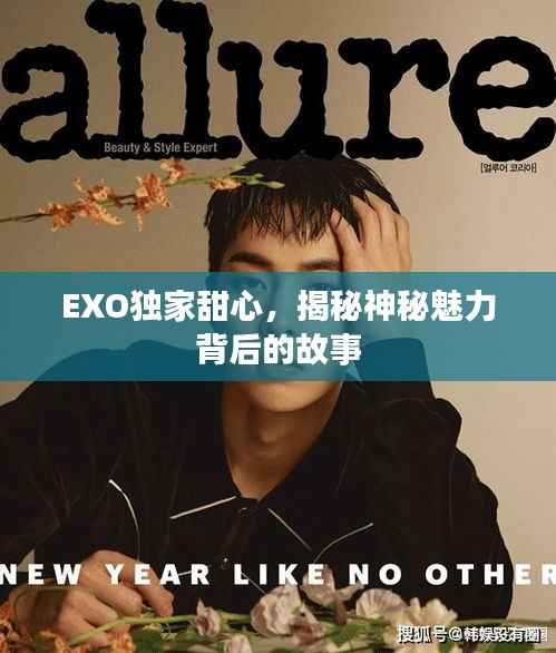 EXO独家甜心,揭秘神秘魅力背后的故事