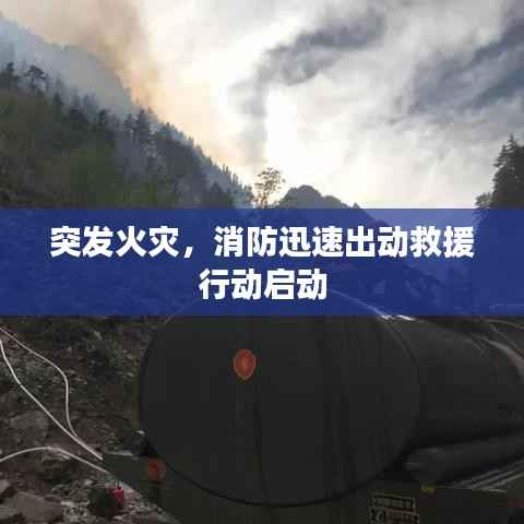 突发火灾,消防迅速出动救援行动启动