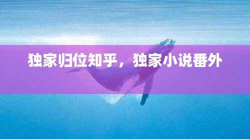 独家归位知乎,独家小说番外