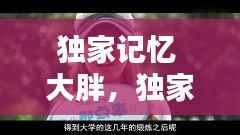 独家记忆 大胖,独家记忆1