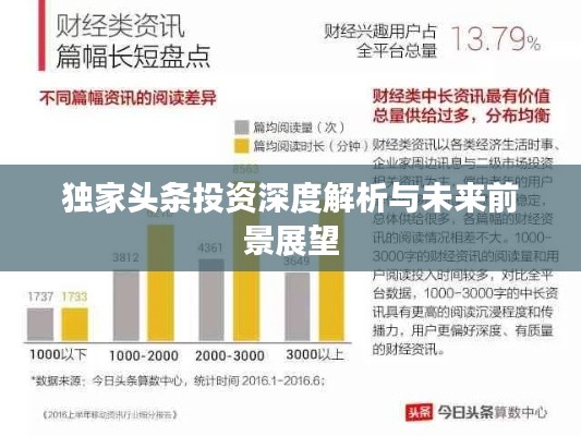 独家头条投资深度解析与未来前景展望