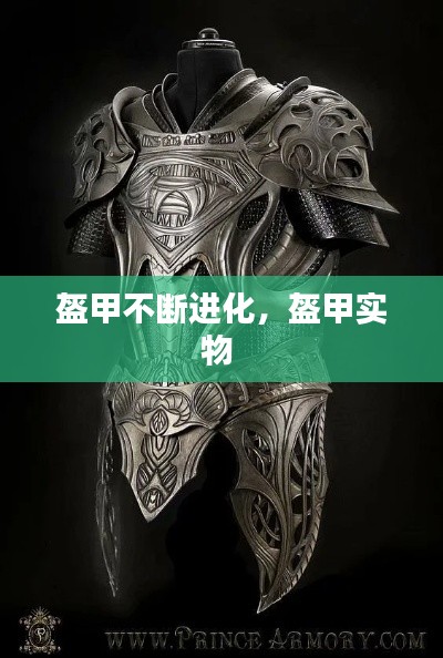 盔甲不断进化,盔甲实物