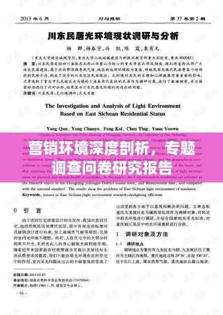 营销环境深度剖析,专题调查问卷研究报告