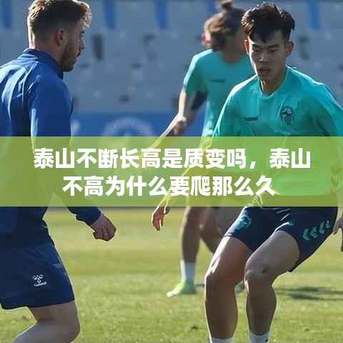 莺声燕语 第3页