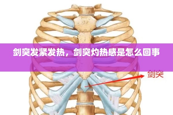 剑突发紧发热,剑突灼热感是怎么回事
