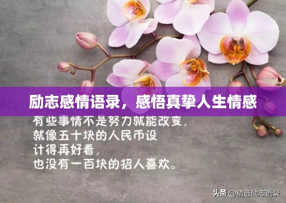 张灯挂彩