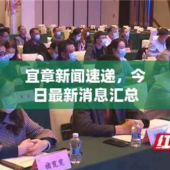 宜章新闻速递,今日最新消息汇总