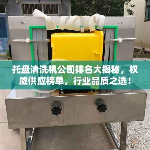 托盘清洗机公司排名大揭秘，权威供应榜单，行业品质之选！