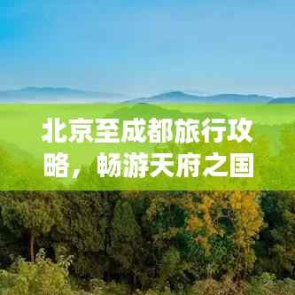 聚精会神