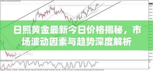 一丝不苟