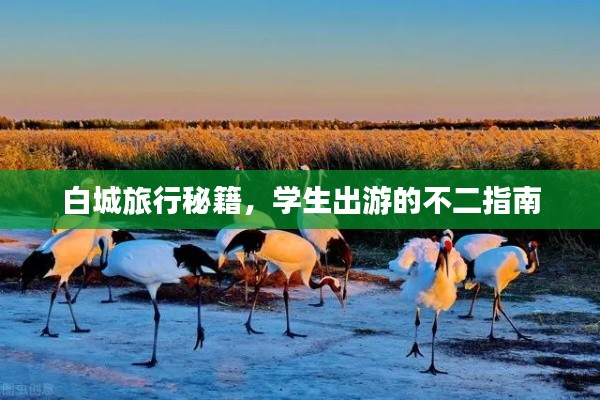 白城旅行秘籍,学生出游的不二指南