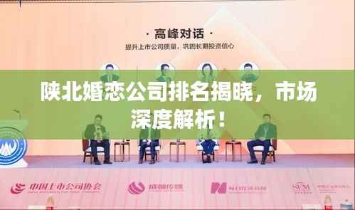 陕北婚恋公司排名揭晓,市场深度解析!
