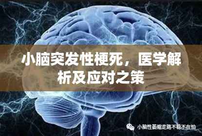 小脑突发性梗死,医学解析及应对之策