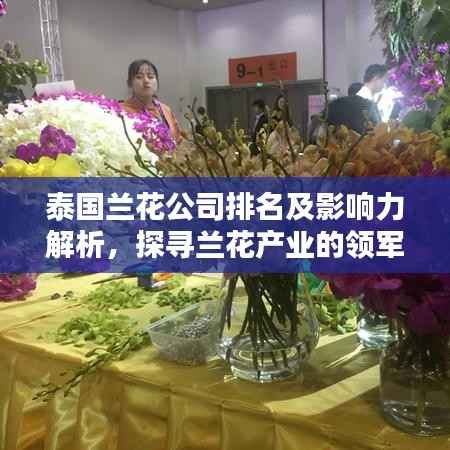 泰国兰花公司排名及影响力解析,探寻兰花产业的领军者