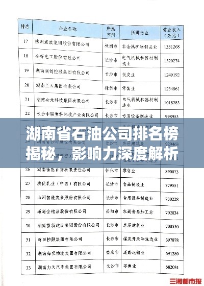 湖南省石油公司排名榜揭秘,影响力深度解析