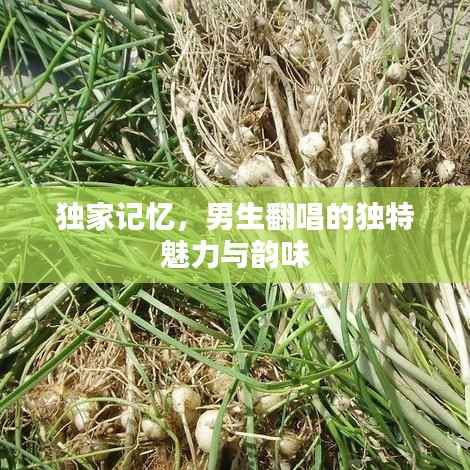 独家记忆,男生翻唱的独特魅力与韵味