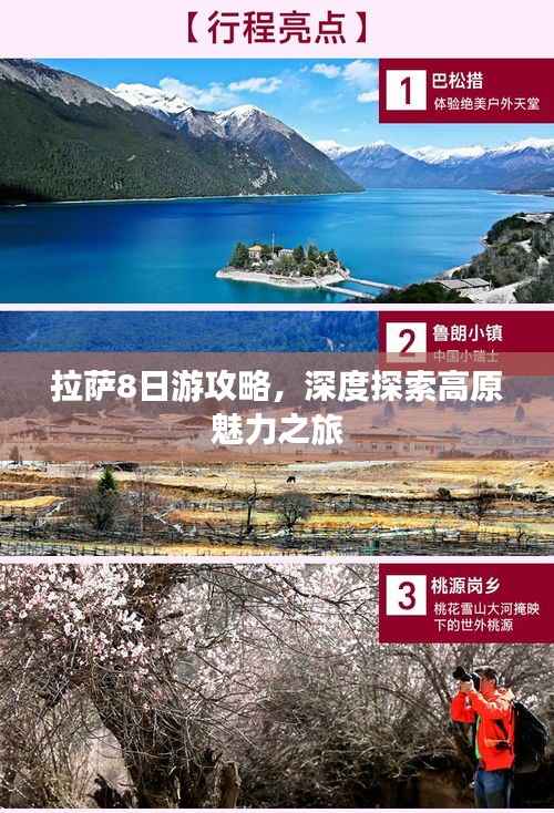气宇轩昂