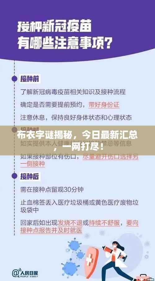 布衣字谜揭秘,今日最新汇总,一网打尽!