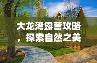 大龙湾露营攻略,探索自然之美的最新体验视频