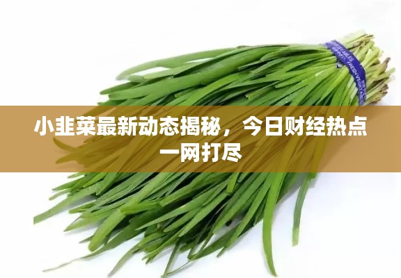 披肝沥胆 第2页