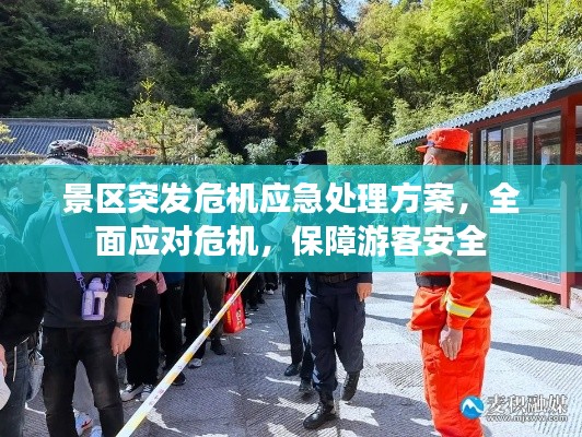 飞扬拨扈