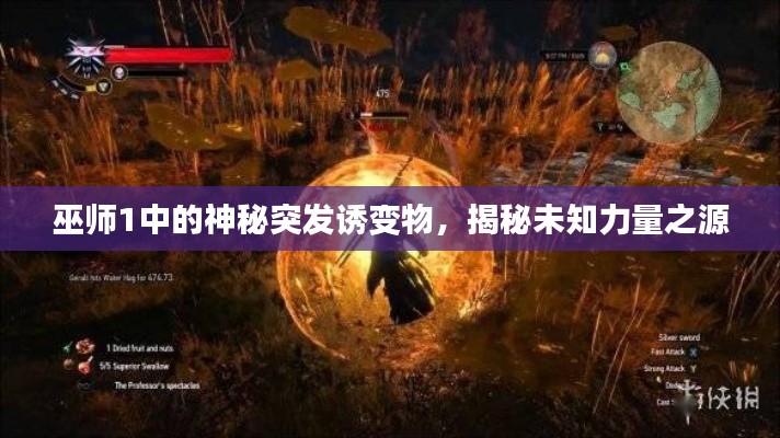巫师1中的神秘突发诱变物,揭秘未知力量之源