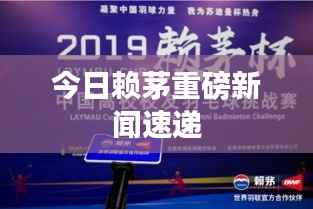今日赖茅重磅新闻速递