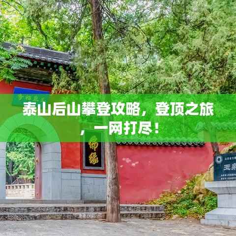 泰山后山攀登攻略,登顶之旅,一网打尽!