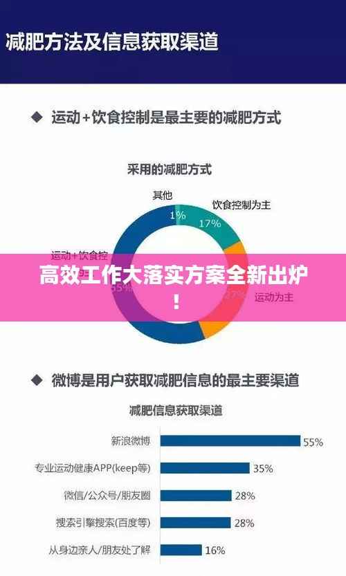 高效工作大落实方案全新出炉!