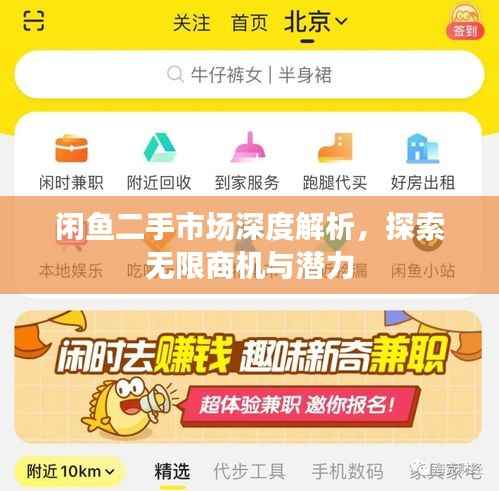 闲鱼二手市场深度解析,探索无限商机与潜力