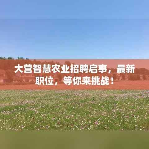 大营智慧农业招聘启事,最新职位,等你来挑战!