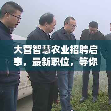 大营智慧农业招聘启事,最新职位,等你来挑战!