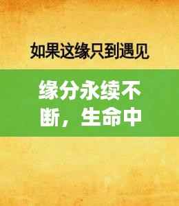 缘分永续不断,生命中的奇妙相遇与心灵连结